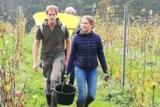 Photo de Château d’Annevoie Photo de Château d’Annevoie