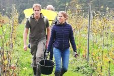 Photo de Château d’Annevoie Photo de Château d’Annevoie