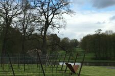 Photo de Château de Bioul Photo de Château de Bioul