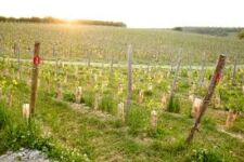 Photo de Château de Bousval Photo de Château de Bousval