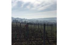 Photo de Clos de la Fouchère Photo de Clos de la Fouchère