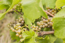 Photo de Clos de Mostombe Photo de Clos de Mostombe