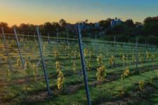 Photo de Clos de Temme Photo de Clos de Temme