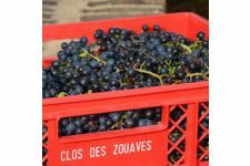 Photo de Clos des Zouaves Photo de Clos des Zouaves