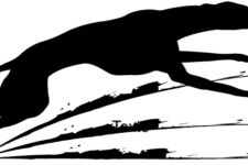 Photo de Clos du Pontois Photo de Clos du Pontois