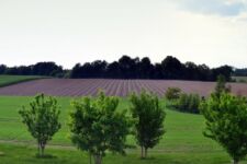 Photo de Coteaux des Avelines Photo de Coteaux des Avelines
