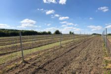 Photo de Coteaux des Eaux vives Photo de Coteaux des Eaux vives