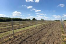 Photo de Coteaux des Eaux vives Photo de Coteaux des Eaux vives