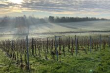 Photo de Domaine Beekborne Photo de Domaine Beekborne