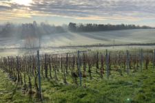 Photo de Domaine Beekborne Photo de Domaine Beekborne