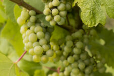 Photo de Domaine de Doriémont Photo de Domaine de Doriémont