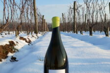 Photo de Domaine de la Falize Photo de Domaine de la Falize