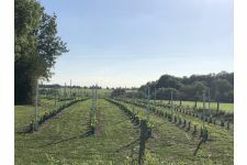 Photo de Domaine de la Feuille Photo de Domaine de la Feuille