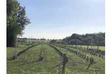 Photo de Domaine de la Feuille Photo de Domaine de la Feuille