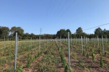 Photo de Domaine de la Portelette Photo de Domaine de la Portelette