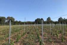 Photo de Domaine de la Portelette Photo de Domaine de la Portelette