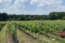 Photo de Domaine Degavre Photo de Domaine Degavre