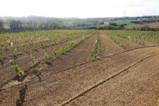 Photo de Domaine du Blanc Caillou Photo de Domaine du Blanc Caillou