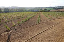 Photo de Domaine du Blanc Caillou Photo de Domaine du Blanc Caillou