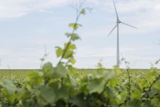 Photo de Domaine du Chant d’Eole Photo de Domaine du Chant d’Eole