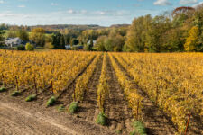 Photo de Domaine du Dièdre Noir Photo de Domaine du Dièdre Noir