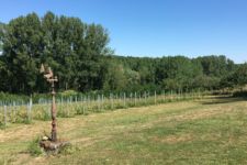 Photo de Domaine du Krayenberg Photo de Domaine du Krayenberg