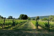 Photo de Domaine Eclipse Photo de Domaine Eclipse