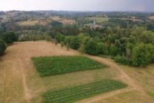 Photo de Domaine Holliguette Photo de Domaine Holliguette