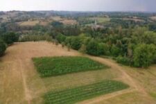 Photo de Domaine Holliguette Photo de Domaine Holliguette