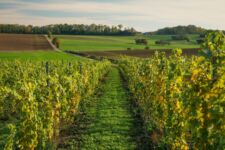 Photo de Domaine Prologue Photo de Domaine Prologue