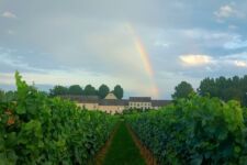 Photo de Domaine viticole de Mehaignoul Photo de Domaine viticole de Mehaignoul