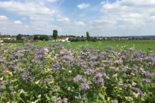 Photo de Domaine-W Photo de Domaine-W