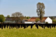 Photo de Domaine-W Photo de Domaine-W