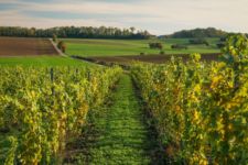 Photo de Domaine Prologue Photo de Domaine Prologue