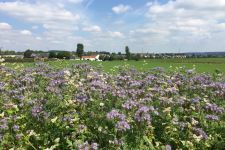 Photo de Domaine-W Photo de Domaine-W