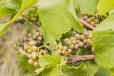 Photo de Clos de Mostombe Photo de Clos de Mostombe