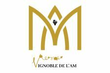 Photo de Vignoble de l’AM Photo de Vignoble de l’AM