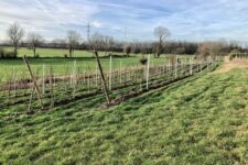 Photo de Vignoble des Rivages Photo de Vignoble des Rivages