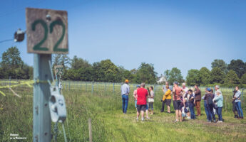 Fêtez l’été avec les vignerons wallons