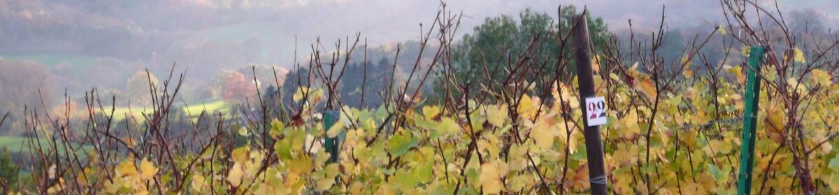 Vignerons de Wallonie